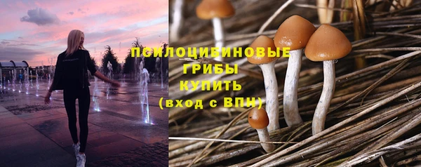 apvp Сатка