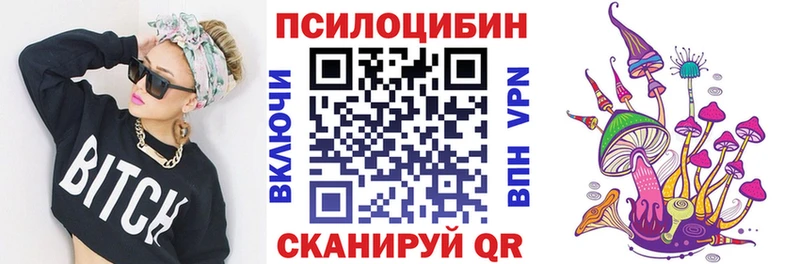 Псилоцибиновые грибы Psilocybine cubensis  Белёв 